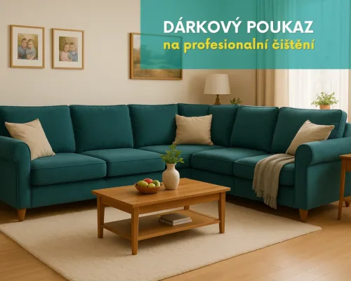 Dárkový poukaz - čištění gauče