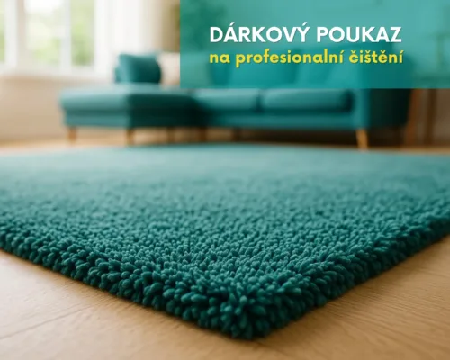 Dárkový poukaz - čištění koberce