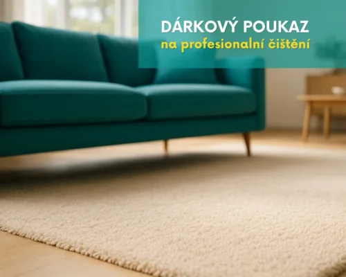 Dárkový poukaz - čištění koberce