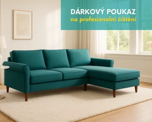 Dárkový poukaz - čištění střední sedačky